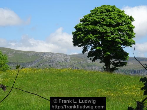 Manorhamilton Road